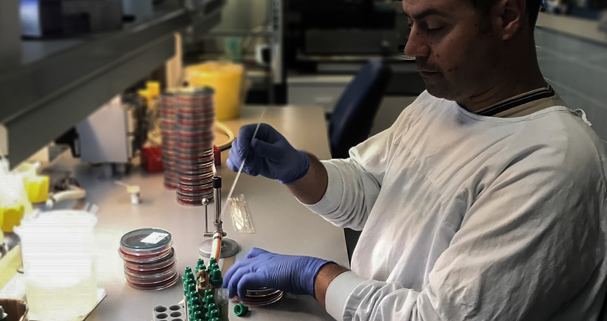 Levantamento de necessidades de TSDT no SNS