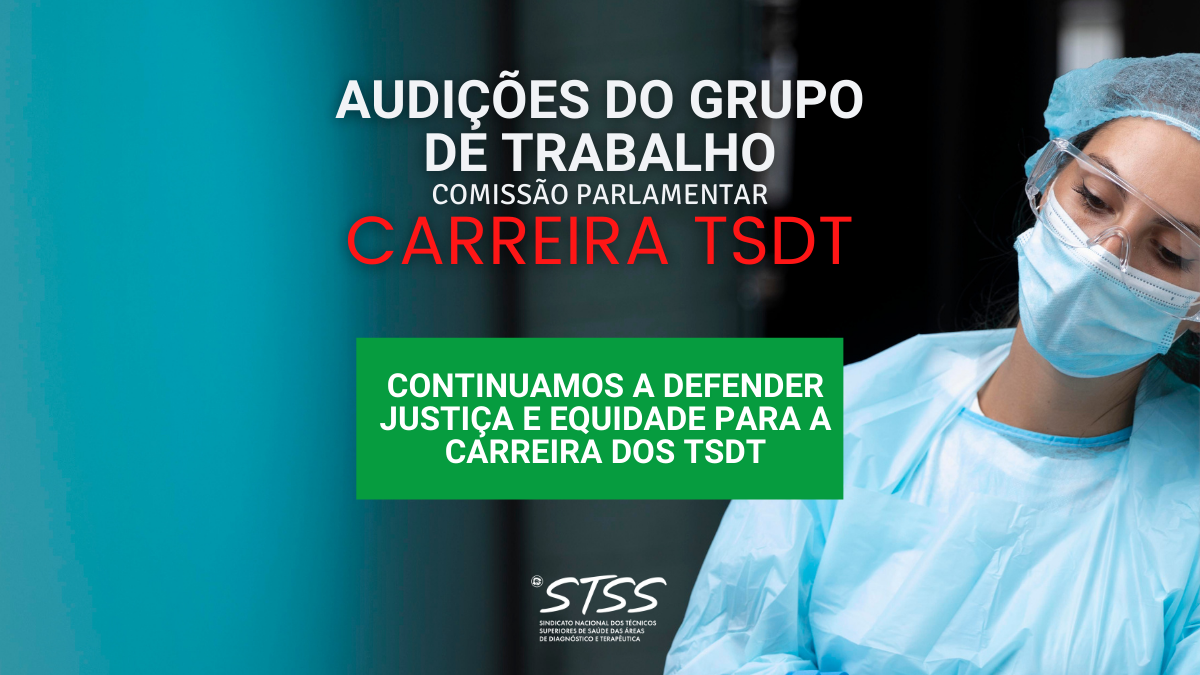 Audições do Grupo de Trabalho na Comissão Paralamentar - Carreira TSDT
